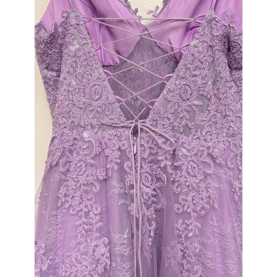 Lavender Lace Hebeos Gown