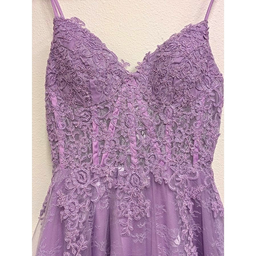 Lavender Lace Hebeos Gown